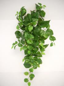 Puff Pothos Slik Hanging Plant