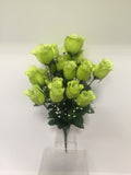 Premium Lime Rose Bush