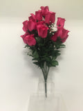 Premium Beauty Rose Bush