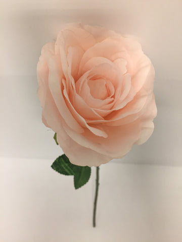 Light Pink Open Rose