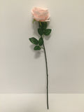 Light Pink Open Rose