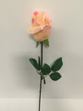 Light Pink Rose Bud
