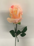 Light Pink Rose Bud