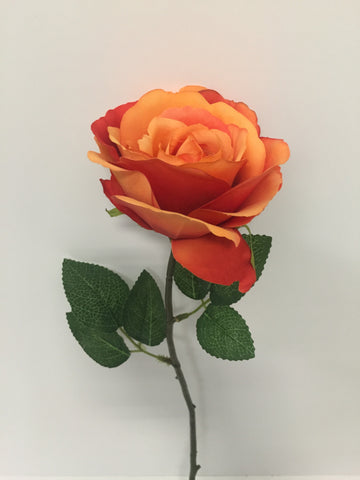 Orange Open Rose