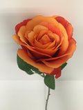 Orange Open Rose