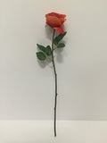 Orange Open Rose