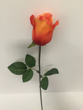 Orange Rose Bud