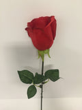 Red Rose Bud
