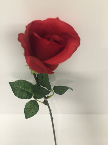 Red Rose Bud