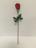 Red Rose Bud