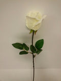 White Rose Bud