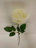 White Rose Bud