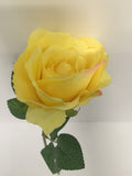 Yellow Open Rose