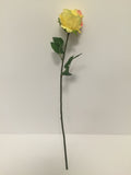 Yellow Open Rose