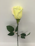 Yellow Rose Bud