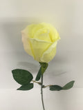 Yellow Rose Bud